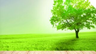 辿りつく先のウェルビーイング